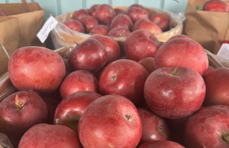 Snacks rond 100 calorieën: porties en praktische ideeën